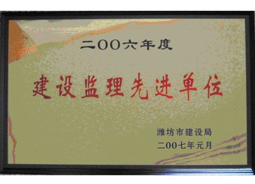 点击查看详细信息<br>标题：2006年度建设监理先进单位 阅读次数：4705