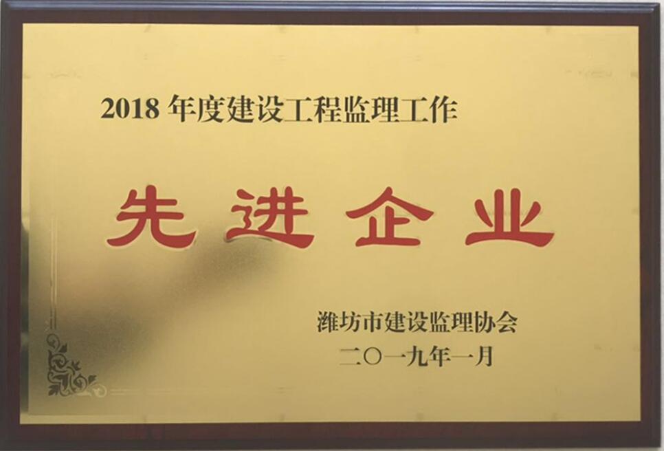 点击查看详细信息<br>标题：2018年度先进监理企业 阅读次数：2603
